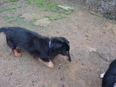 f:id:roukenhome-ann:20190630202445j:plain f:id:roukenhome-ann:20190630202445j:plain