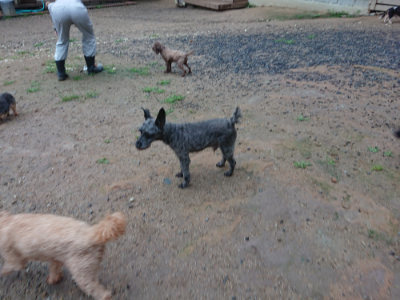f:id:roukenhome-ann:20190630202450j:plain f:id:roukenhome-ann:20190630202450j:plain