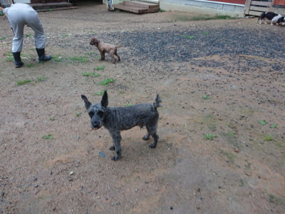 f:id:roukenhome-ann:20190630202459j:plain f:id:roukenhome-ann:20190630202459j:plain