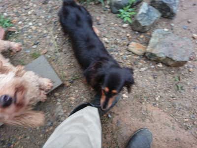f:id:roukenhome-ann:20190630202524j:plain f:id:roukenhome-ann:20190630202524j:plain
