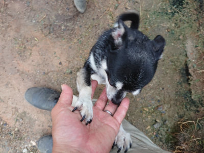 f:id:roukenhome-ann:20190630202614j:plain f:id:roukenhome-ann:20190630202614j:plain