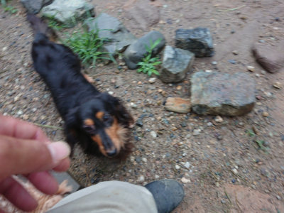 f:id:roukenhome-ann:20190630202624j:plain f:id:roukenhome-ann:20190630202624j:plain
