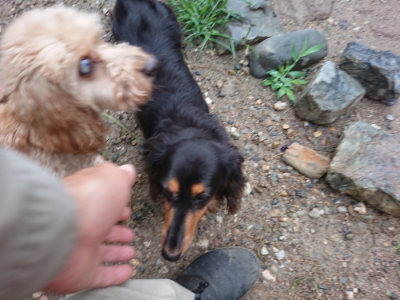 f:id:roukenhome-ann:20190630202629j:plain f:id:roukenhome-ann:20190630202629j:plain