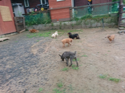 f:id:roukenhome-ann:20190630202654j:plain f:id:roukenhome-ann:20190630202654j:plain