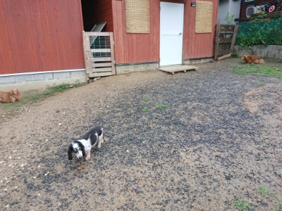 f:id:roukenhome-ann:20190630202727j:plain f:id:roukenhome-ann:20190630202727j:plain