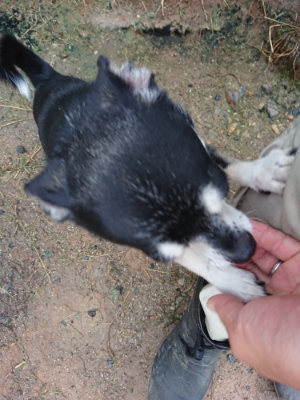 f:id:roukenhome-ann:20190630202732j:plain f:id:roukenhome-ann:20190630202732j:plain