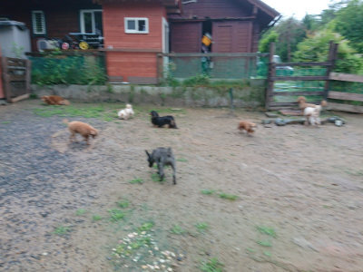 f:id:roukenhome-ann:20190630202753j:plain f:id:roukenhome-ann:20190630202753j:plain
