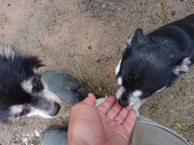 f:id:roukenhome-ann:20190630202803j:plain f:id:roukenhome-ann:20190630202803j:plain