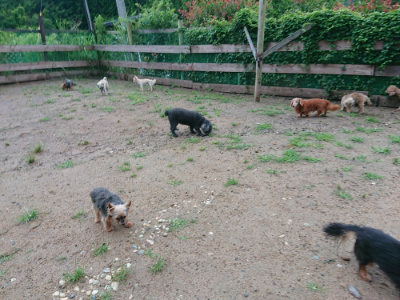f:id:roukenhome-ann:20190630202811j:plain f:id:roukenhome-ann:20190630202811j:plain