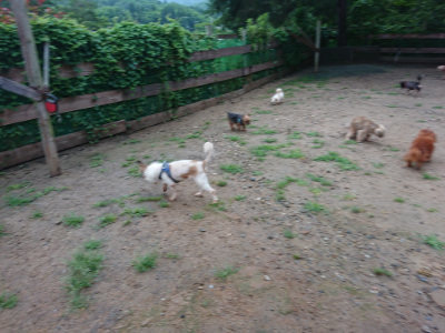 f:id:roukenhome-ann:20190630203008j:plain f:id:roukenhome-ann:20190630203008j:plain