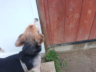 f:id:roukenhome-ann:20190630203015j:plain f:id:roukenhome-ann:20190630203015j:plain