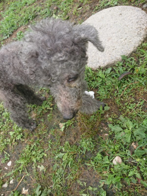 f:id:roukenhome-ann:20190701125433j:plain f:id:roukenhome-ann:20190701125433j:plain
