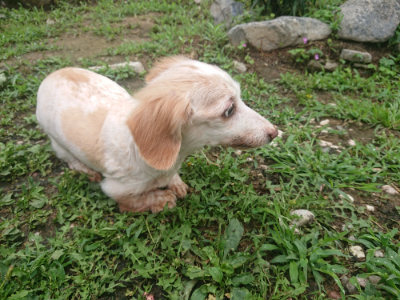 f:id:roukenhome-ann:20190701141842j:plain