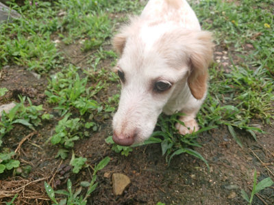 f:id:roukenhome-ann:20190701141954j:plain