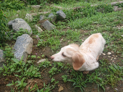 f:id:roukenhome-ann:20190701142005j:plain