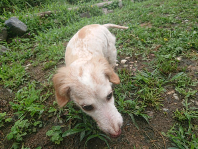 f:id:roukenhome-ann:20190701142023j:plain