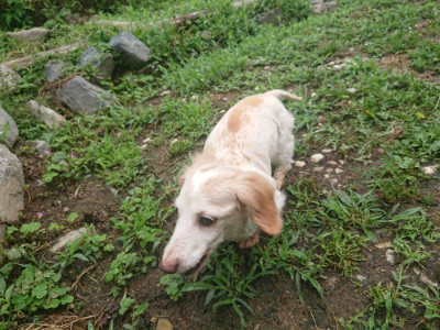 f:id:roukenhome-ann:20190701142030j:plain