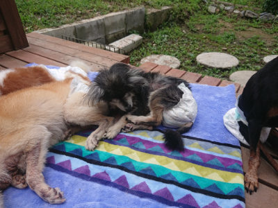 f:id:roukenhome-ann:20190701142442j:plain