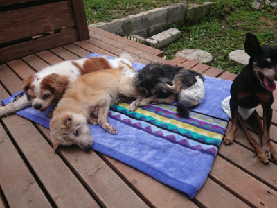 f:id:roukenhome-ann:20190701142453j:plain