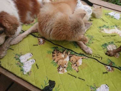 f:id:roukenhome-ann:20190701142957j:plain