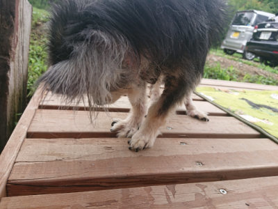 f:id:roukenhome-ann:20190701143025j:plain
