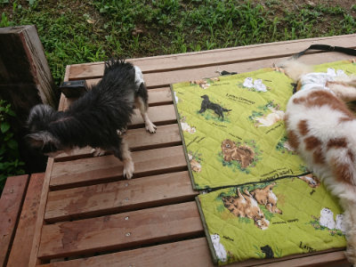f:id:roukenhome-ann:20190701143027j:plain