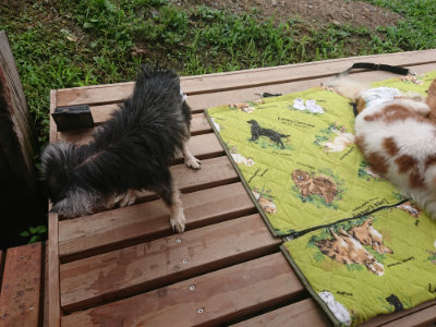 f:id:roukenhome-ann:20190701143035j:plain