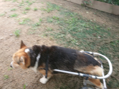 f:id:roukenhome-ann:20190701195540j:plain