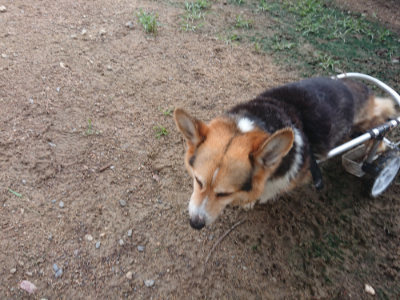f:id:roukenhome-ann:20190701195553j:plain
