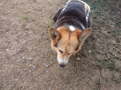 f:id:roukenhome-ann:20190701195612j:plain