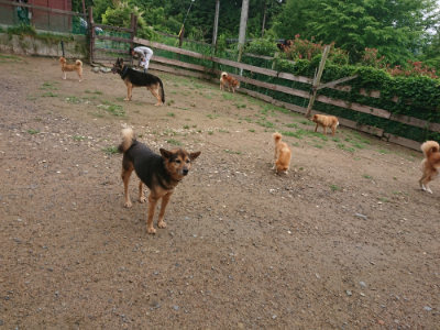 f:id:roukenhome-ann:20190702131633j:plain