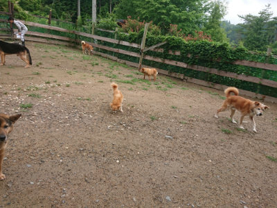 f:id:roukenhome-ann:20190702131731j:plain