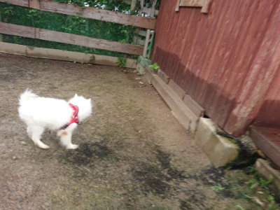 f:id:roukenhome-ann:20190702131749j:plain