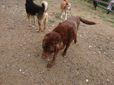 f:id:roukenhome-ann:20190702131815j:plain