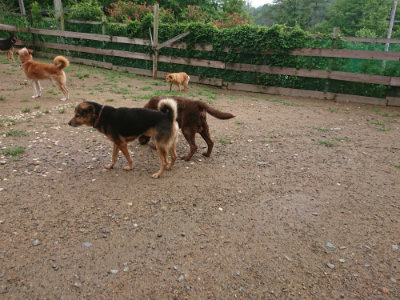 f:id:roukenhome-ann:20190702131817j:plain