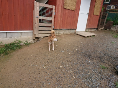 f:id:roukenhome-ann:20190702131957j:plain