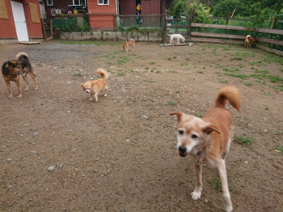 f:id:roukenhome-ann:20190702132011j:plain