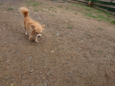 f:id:roukenhome-ann:20190702132020j:plain