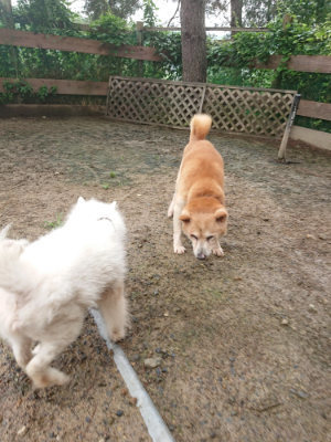 f:id:roukenhome-ann:20190702132109j:plain