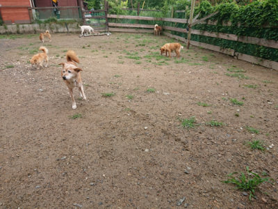 f:id:roukenhome-ann:20190702132117j:plain