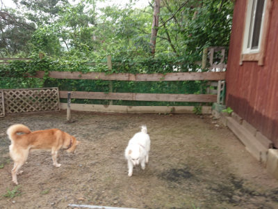 f:id:roukenhome-ann:20190702132121j:plain