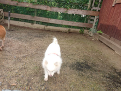 f:id:roukenhome-ann:20190702132132j:plain