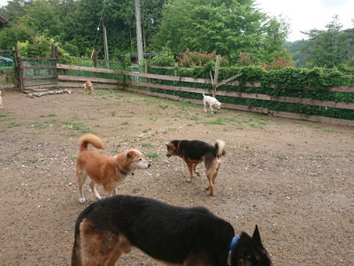f:id:roukenhome-ann:20190702132216j:plain