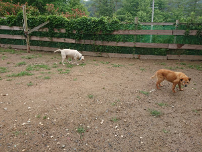 f:id:roukenhome-ann:20190702132231j:plain