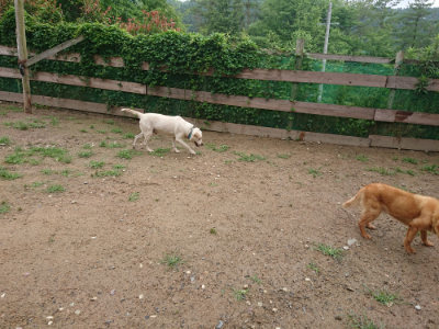 f:id:roukenhome-ann:20190702132236j:plain
