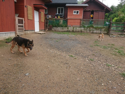 f:id:roukenhome-ann:20190702132246j:plain