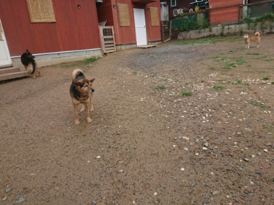 f:id:roukenhome-ann:20190702132355j:plain