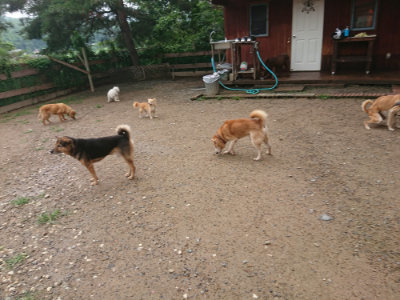 f:id:roukenhome-ann:20190702132425j:plain