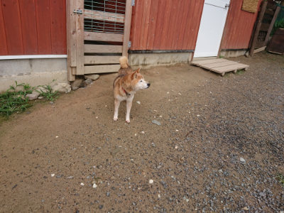 f:id:roukenhome-ann:20190702132430j:plain