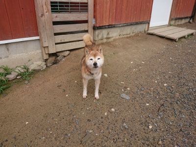 f:id:roukenhome-ann:20190702132436j:plain